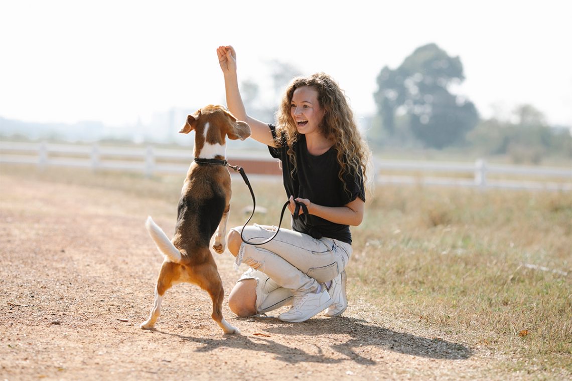 Hundesport: aktive Freizeitgestaltung für Hund und Halter